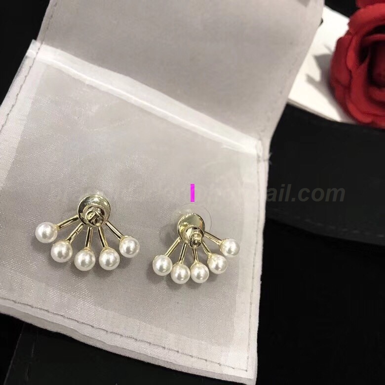 DIOR Earrings 227